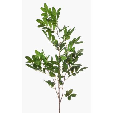 Branche décorative de pistachier WEXTOR, verte, 90 cm