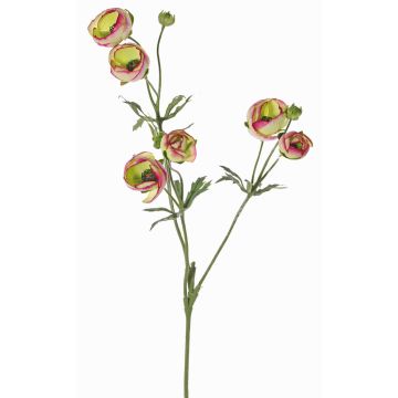 Renoncule en tissu YARIS, vert-rose fuchsia, 65cm, Ø3-4,5cm