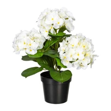 Fleur décorative Hortensia SLORFIN en pot décoratif noir, blanc, 30cm