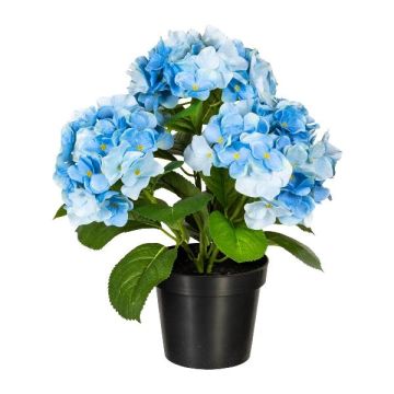 Fleur décorative Hortensia SLORFIN en pot décoratif noir, bleu, 30cm
