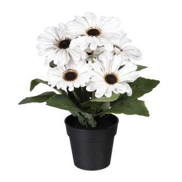 Fleur artificielle Gerbera KROLVEN en pot décoratif noir, crème, 27cm Fleur artificielle Gerbera KROLVEN en pot décoratif noir, crème, 27cm