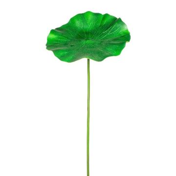 Feuille en mousse synthétique Nénuphar LUDAPE, vert, 100cm Feuille en mousse synthétique Nénuphar LUDAPE, vert, 100cm