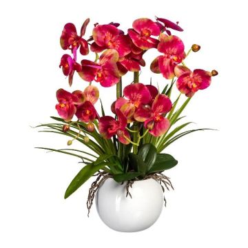 Composition florale d'orchidées Phalaenopsis TRALFEN avec de l'herbe, pot en céramique, racines, fuchsia-vert, 60cm Composition florale d'orchidées Phalaenopsis TRALFEN avec de l'herbe, pot en céramique, racines, fuchsia-vert, 60cm