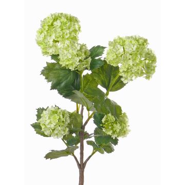 Branche de viorne obier artificielle JIVA, vert clair, 60cm, Ø4-7cm Branche de viorne obier artificielle JIVA, vert clair, 60cm, Ø4-7cm