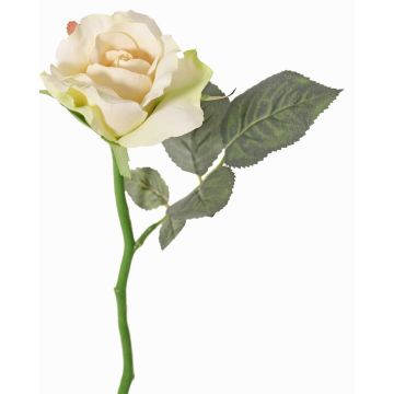 Rose en soie ELLI, crème-rose, 30cm, Ø6,5cm