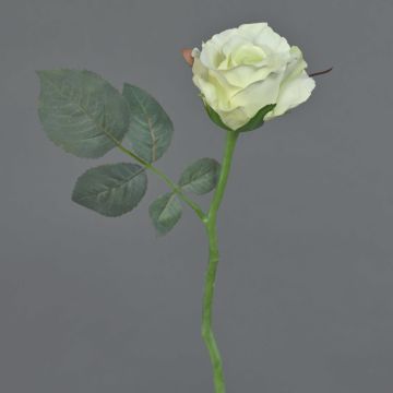 Rose en soie ELLI, crème-blanc, 30cm, Ø6cm Rose en soie ELLI, crème-blanc, 30cm, Ø6cm