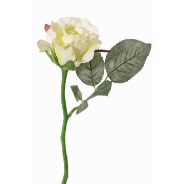 Rose en soie ELLI, crème-blanc, 30cm, Ø6,5cm Rose en soie ELLI, crème-blanc, 30cm, Ø6,5cm