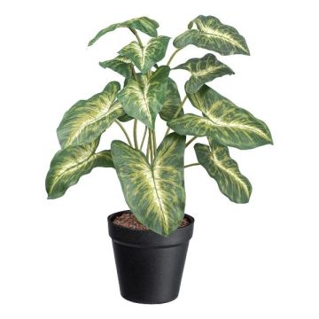 Plante décorative Syngonium GLOHEN, pot décoratif, vert-jaune, 40cm Plante décorative Syngonium GLOHEN, pot décoratif, vert-jaune, 40cm