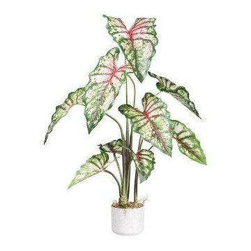 Plante décorative Caladium GRUHON, cache-pot en mélamine, vert-rouge, 100 cm