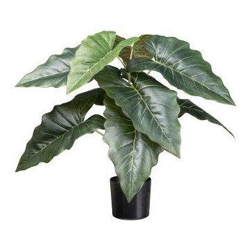 Plante artificielle Colocasia ZORHEL, verte, 65 cm Plante artificielle Colocasia ZORHEL, verte, 65 cm