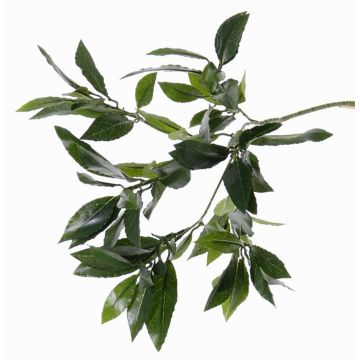 Branche de laurier synthétique NAGISA, vert, 50cm Branche de laurier synthétique NAGISA, vert, 50cm
