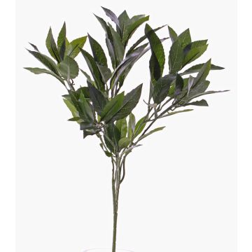 Branche de laurier synthétique NAGISA, ignifuge, vert, 50cm Branche de laurier synthétique NAGISA, ignifuge, vert, 50cm
