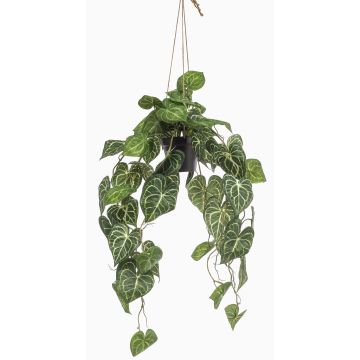 Panier suspendu avec anthurium artificiel MORGANE, pot décoratif, vert, 80cm