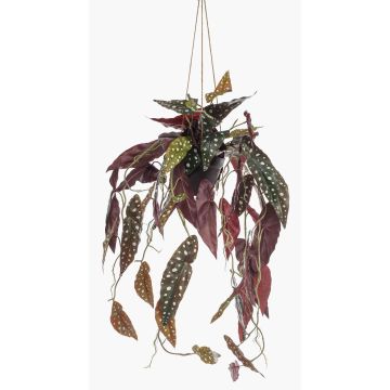 Panier suspendu avec bégonia maculata artificiel VIALO, pot décoratif, vert-blanc, 80cm Panier suspendu avec bégonia maculata artificiel VIALO, pot décoratif, vert-blanc, 80cm