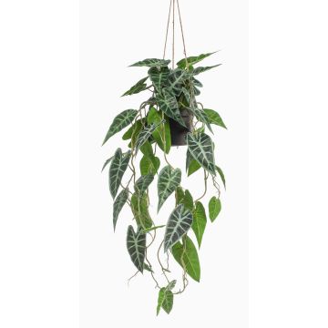 Panier suspendu avec Alocasia sanderiana artificiel XEZOR, pot décoratif, vert-blanc, 80cm