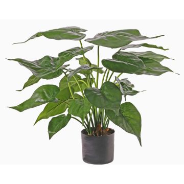 Alocasia Cucullate artificiel AROA, vert, 50cm Alocasia Cucullate artificiel AROA, vert, 50cm