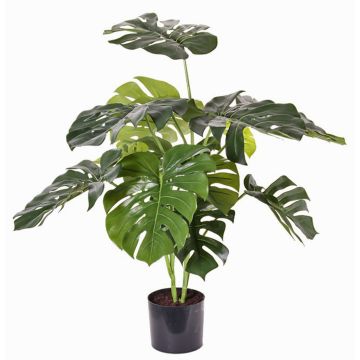 Philodendron Monstera Deliciosa artificiel ARELIUS, vert, 85cm Philodendron Monstera Deliciosa artificiel ARELIUS, vert, 85cm