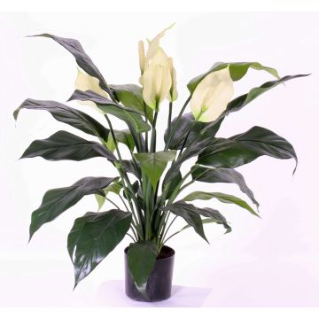 Spathiphyllum artificiel ABBY, avec fleurs, blanc, 75cm Spathiphyllum artificiel ABBY, avec fleurs, blanc, 75cm
