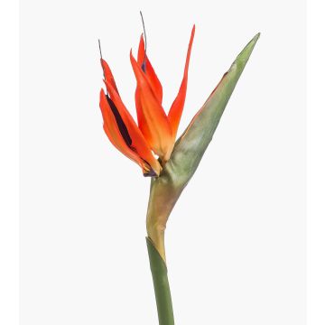 Strelitzia artificiel MELIORN, orange-violet, 85cm