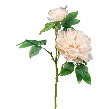 Fleur artificielle Pivoine FRILT, champagne, 55cm Fleur artificielle Pivoine FRILT, champagne, 55cm