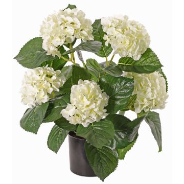 Faux Hortensia TEMARI, crème, 40cm, Ø10-12cm Faux Hortensia TEMARI, crème, 40cm, Ø10-12cm