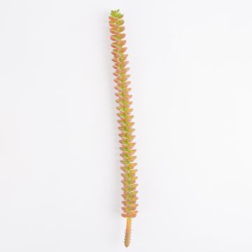 Crassula artificiel MAZUR, sur piquet, orange, 30cm, Ø2cm Crassula artificiel MAZUR, sur piquet, orange, 30cm, Ø2cm