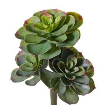 Echeveria artificiel NADIA, sur piquet, vert-rouge, 30cm, Ø20cm Echeveria artificiel NADIA, sur piquet, vert-rouge, 30cm, Ø20cm