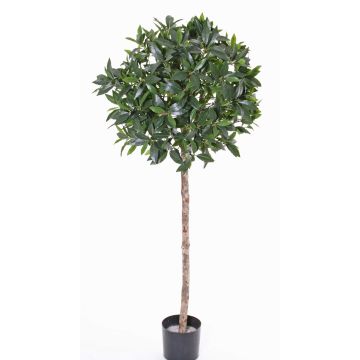 Boule de laurier artificielle ALEXIOS, vrai tronc, fruits, 175cm, Ø55cm Boule de laurier artificielle ALEXIOS, vrai tronc, fruits, 175cm, Ø55cm