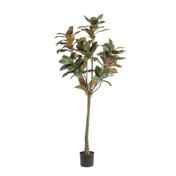 Magnolia Yulan artificiel BELLITA, tronc artificiel, vert olive, 150cm