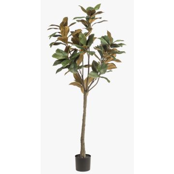 Magnolia Yulan artificiel BELLITA, tronc artificiel, vert olive, 150cm