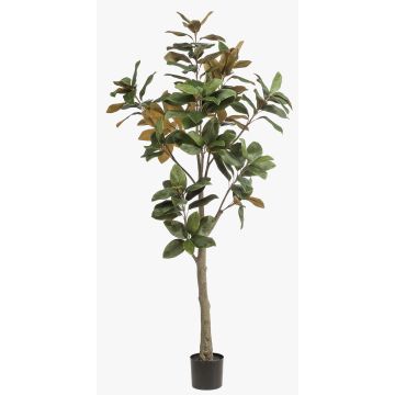 Magnolia Yulan artificiel BELLITA, tronc artificiel, vert-olive, 180cm Magnolia Yulan artificiel BELLITA, tronc artificiel, vert-olive, 180cm