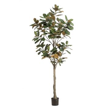 Magnolia Yulan artificiel BELLITA, tronc artificiel, vert-olive, 210cm