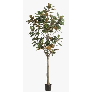 Magnolia Yulan artificiel BELLITA, tronc artificiel, vert-olive, 210cm Magnolia Yulan artificiel BELLITA, tronc artificiel, vert-olive, 210cm