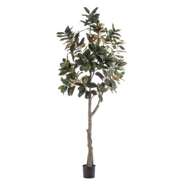 Magnolia Yulan artificiel BELLITA, tronc artificiel, vert-olive, 240cm