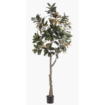 Magnolia Yulan artificiel BELLITA, tronc artificiel, vert-olive, 240cm Magnolia Yulan artificiel BELLITA, tronc artificiel, vert-olive, 240cm