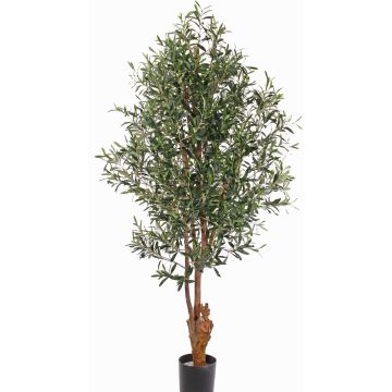 Olivier artificiel FINLOR, tronc naturel, crossdoor, 170cm