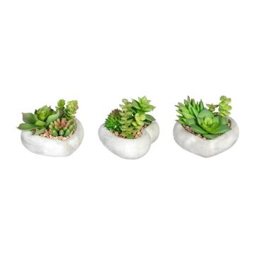 Arrangement artificiel de plantes succulentes SORIPI, 3 pièces, coupe en ciment en forme de cœur, vert-rose, 7cm Arrangement artificiel de plantes succulentes SORIPI, 3 pièces, coupe en ciment en forme de cœur, vert-rose, 7cm