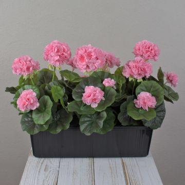 Géraniums artificiels FLOREANA en jardinière, 3 pièces, rose clair, 40 x 15 x 35 cm