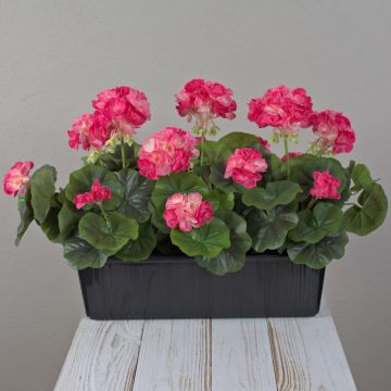 Géraniums artificiels FLOREANA dans une jardinière, lot de 3, rose foncé, 40 x 15 x 35 cm