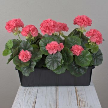 Géraniums artificiels FLOREANA dans une jardinière, lot de 3, couleur saumon, 40 x 15 x 35 cm