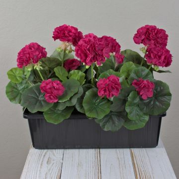 Géraniums artificiels FLOREANA dans une jardinière, lot de 3, rose vif, 40 x 15 x 35 cm