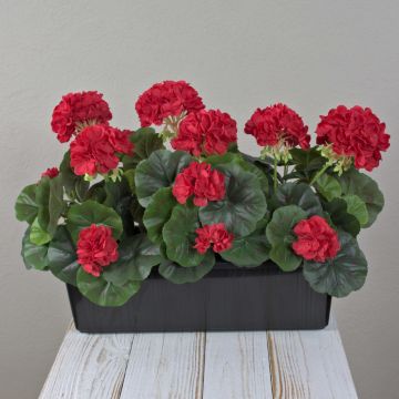Géraniums artificiels FLOREANA dans une jardinière, lot de 3, rouges, 40 x 15 x 35 cm