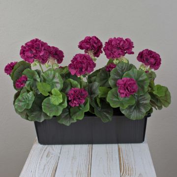 Géraniums artificiels FLOREANA en jardinière, lot de 3, rouge bordeaux, 40 x 15 x 35 cm Géraniums artificiels FLOREANA en jardinière, lot de 3, rouge bordeaux, 40 x 15 x 35 cm