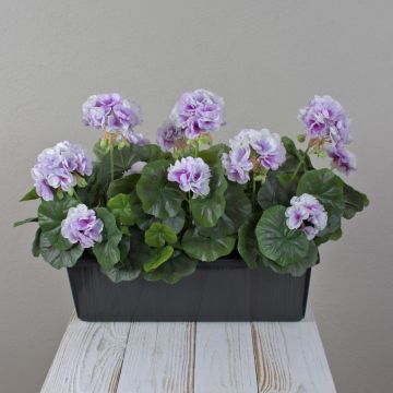 Géraniums artificiels FLOREANA en jardinière, lot de 3, violet et blanc, 40 x 15 x 35 cm Géraniums artificiels FLOREANA en jardinière, lot de 3, violet et blanc, 40 x 15 x 35 cm