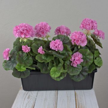 Géraniums artificiels FLOREANA en jardinière, lot de 3, violets, 40 x 15 x 35 cm