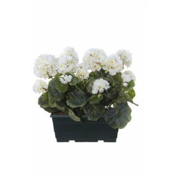 Géraniums artificiels FLOREANA en jardinière, lot de 2, blancs, 24 x 11 x 35 cm