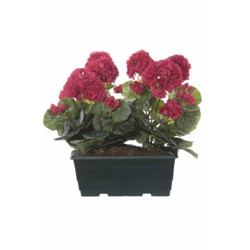 Géraniums artificiels FLOREANA en jardinière, lot de 2, rose, 24 x 11 x 35 cm