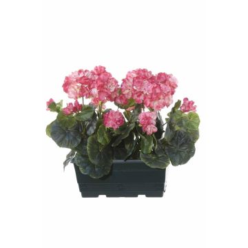 Géraniums artificiels FLOREANA en jardinière, lot de 2, rose foncé, 24 x 11 x 35 cm