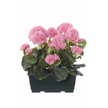 Géraniums artificiels FLOREANA en jardinière, lot de 2, rose clair, 24 x 11 x 35 cm Géraniums artificiels FLOREANA en jardinière, lot de 2, rose clair, 24 x 11 x 35 cm
