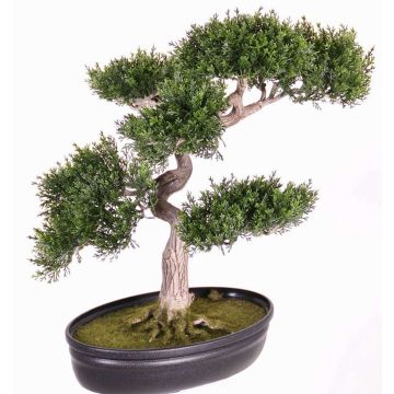 Faux bonsaï cèdre JARNO, avec racines, coupe déco, vert, 40cm Faux bonsaï cèdre JARNO, avec racines, coupe déco, vert, 40cm